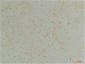CLIC1 Polyclonal Antibody