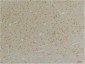 GABA A Receptor α4 Polyclonal Antibody