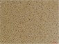 GABA A Receptor γ2 Polyclonal Antibody