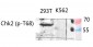Chk2 (phospho Thr68) Polyclonal Antibody