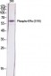 ERα (phospho Ser118) Polyclonal Antibody