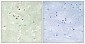 Cyclin H (phospho Thr315) Polyclonal Antibody