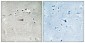 DOR-1 (phospho Ser363) Polyclonal Antibody