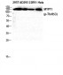 MYPT1 (phospho Thr853) Polyclonal Antibody