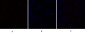 C/EBP β Polyclonal Antibody