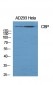 CBP Polyclonal Antibody