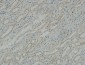 Na+/K+-ATPase α1 Polyclonal Antibody