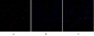 TIMP-1 Polyclonal Antibody