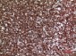 JAM-A Polyclonal Antibody