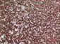 JAM-A Polyclonal Antibody