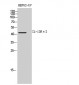 IL-13Rα2 Polyclonal Antibody