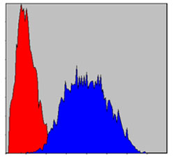 PINCH (3C12) Mouse mAb