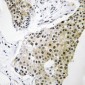 Anti-TCEAL3/5/6 Antibody
