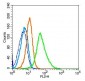 AAMP Polyclonal Antibody