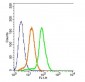 MC4 Receptor Polyclonal Antibody