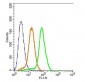 MC4 Receptor Polyclonal Antibody