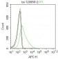 GRID1 Polyclonal Antibody