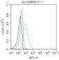 GRID1 Polyclonal Antibody