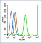 HFE Polyclonal Antibody