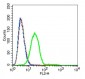 GPR27 Polyclonal Antibody