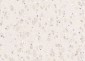 KIF2A Polyclonal Antibody