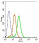 GPR78 Polyclonal Antibody