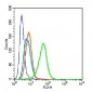 CD35 Polyclonal Antibody