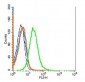 IL22BP Polyclonal Antibody