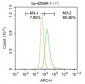 APH1a Polyclonal Antibody