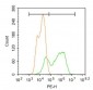 FAP1 Polyclonal Antibody