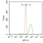 KDM5B Polyclonal Antibody