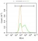 NEDD4 Polyclonal Antibody