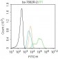 UBE2V1 Polyclonal Antibody