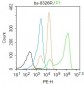 Hi95 Polyclonal Antibody