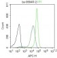 PINX-1 Polyclonal Antibody