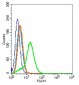 EGFR5 Polyclonal Antibody