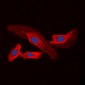 Anti-CHSY2 Antibody