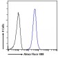 Goat Anti-TICAM1 Antibody