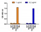 SARS-CoV-2 (COVID-19) Spike L452R Antibody (Delta Variant)