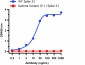 SARS-CoV-2 (COVID-19) Spike 26P Antibody [1C3H9]