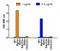 SARS-CoV-2 Spike P681H Antibody [7A4D12](Alpha, Mu Variant)