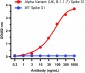 SARS-CoV-2 Spike P681H Antibody [7A4D12](Alpha, Mu Variant)