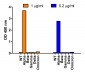 SARS-CoV-2 Spike P681H Antibody [9F7E4] (Alpha, Mu Variant)
