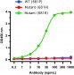 SARS-CoV-2 (COVID-19) Spike P681R Antibody [5H4C5] (Delta Variant)