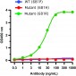 SARS-CoV-2 (COVID-19) Spike P681R Antibody [7E3C5] (Delta Variant)