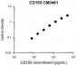 Anti-CD155/PVR (Extracellular region) Antibody