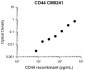 Anti-CD44 (Extracellular region) Antibody