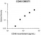 Anti-CD46 (Extracellular region) Antibody