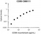 Anti-CD59 (glycoprotein) Antibody