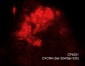 Anti-CXCR4 (Ser-324/Ser-325), Phosphospecific Antibody